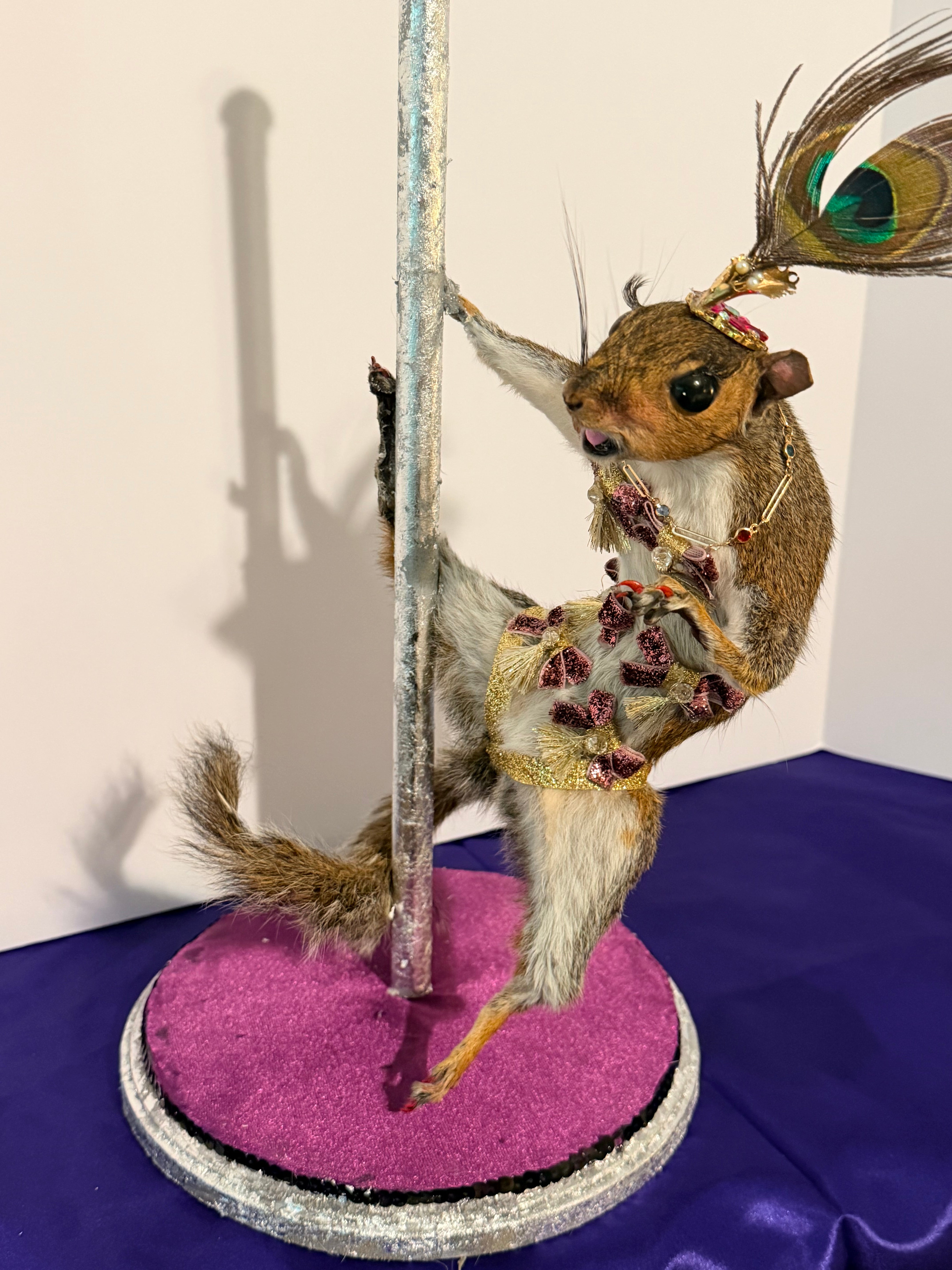 Burlesque Squirrel