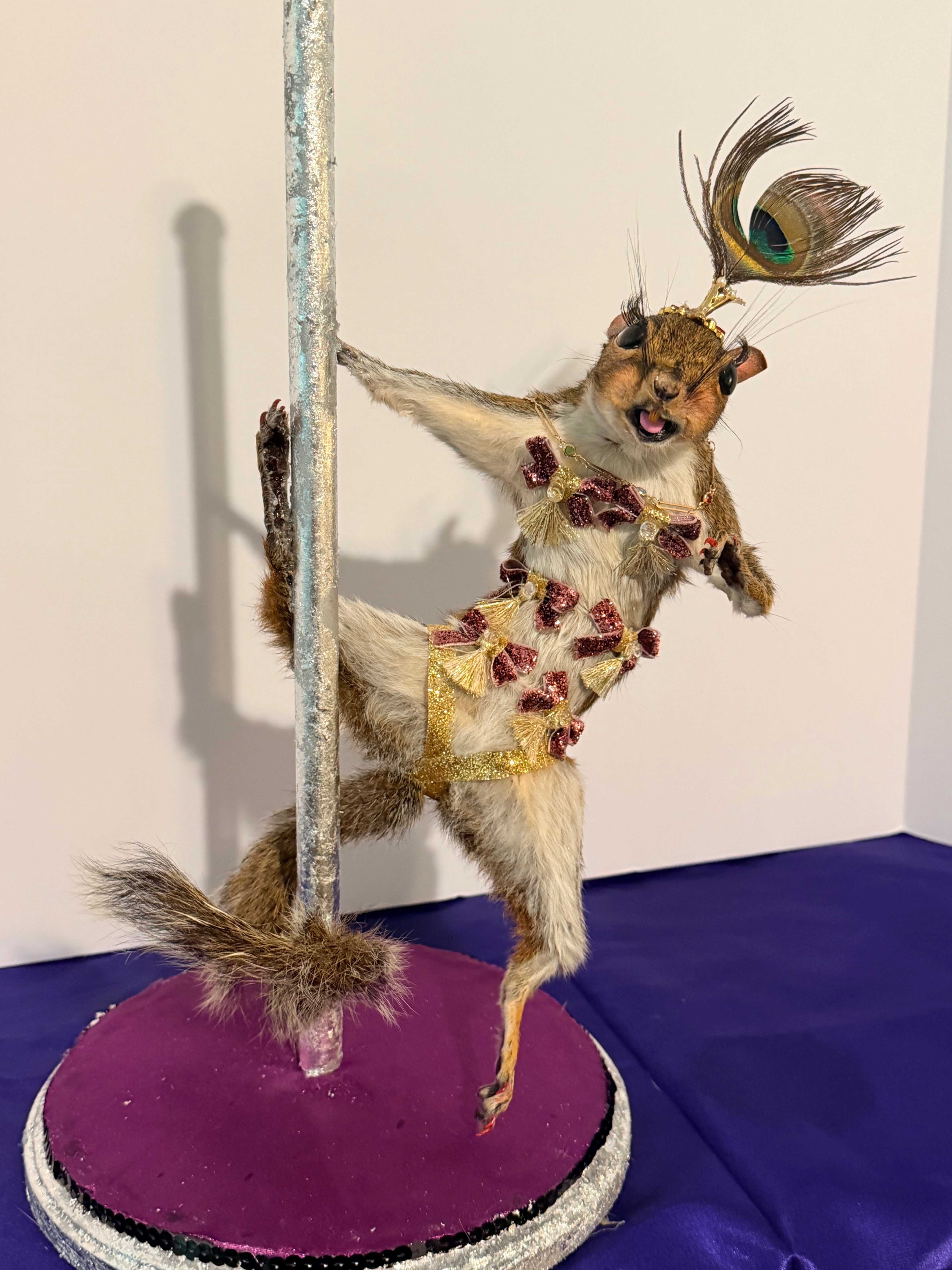 Burlesque Squirrel