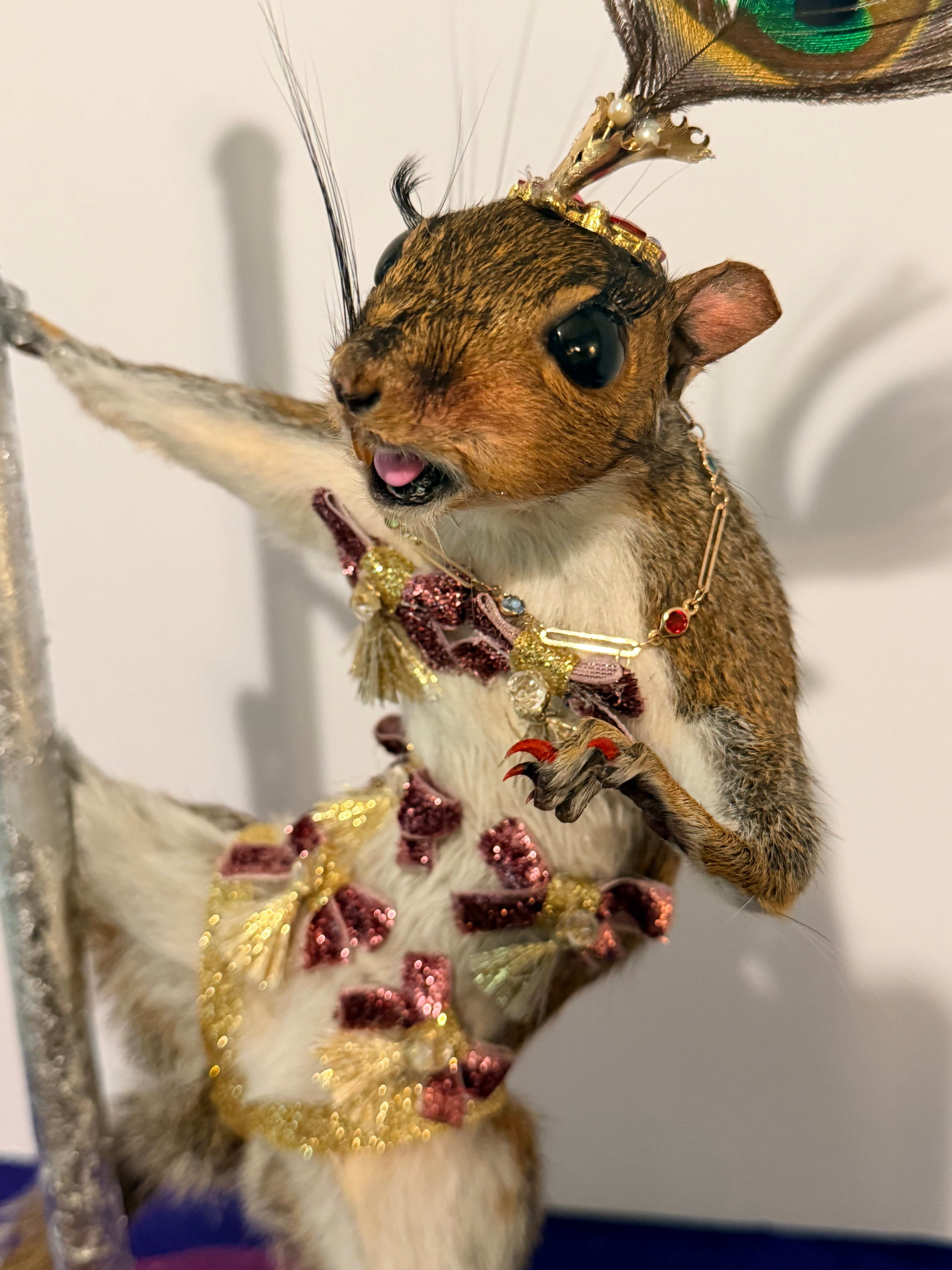 Burlesque Squirrel