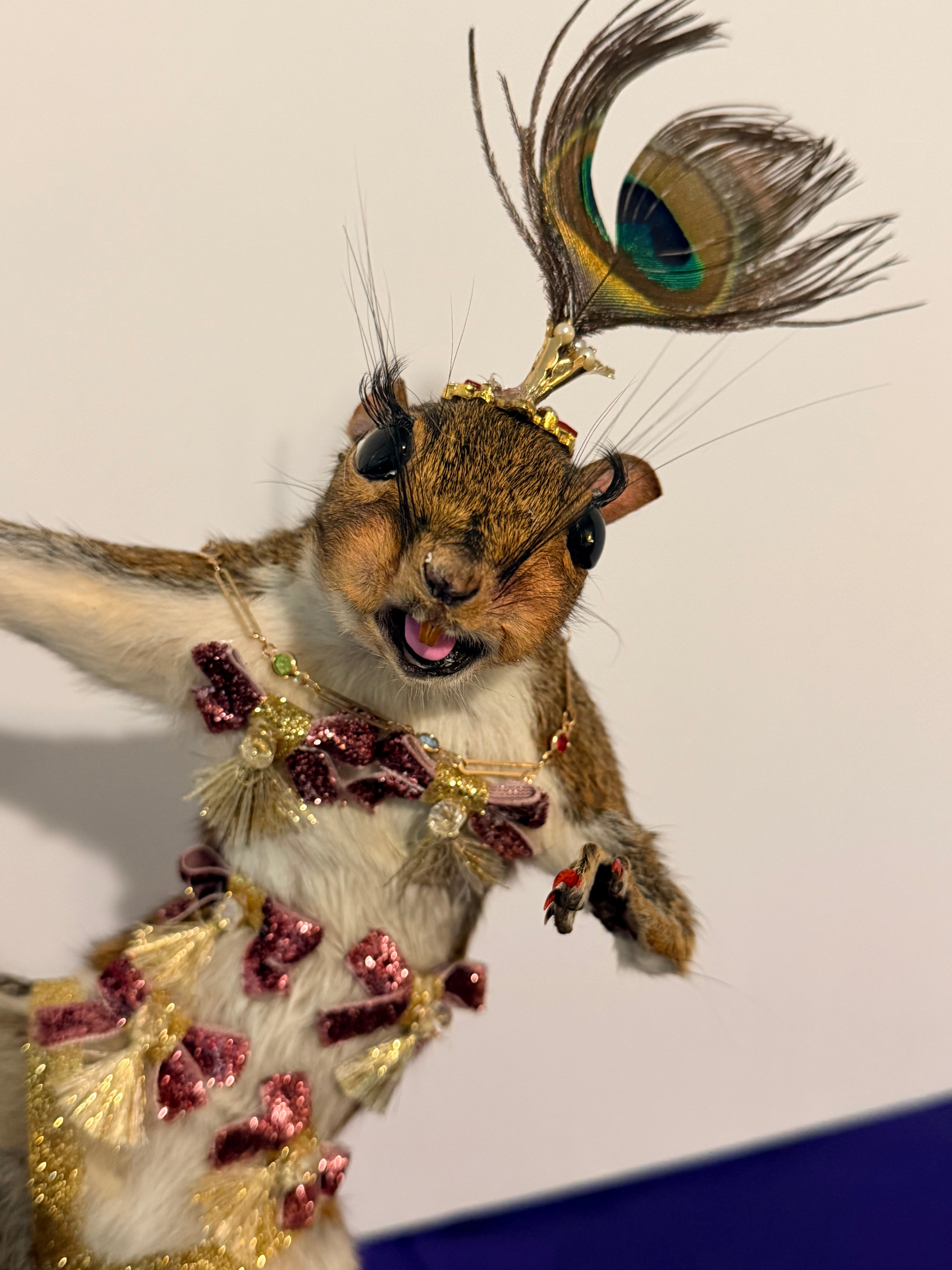 Burlesque Squirrel