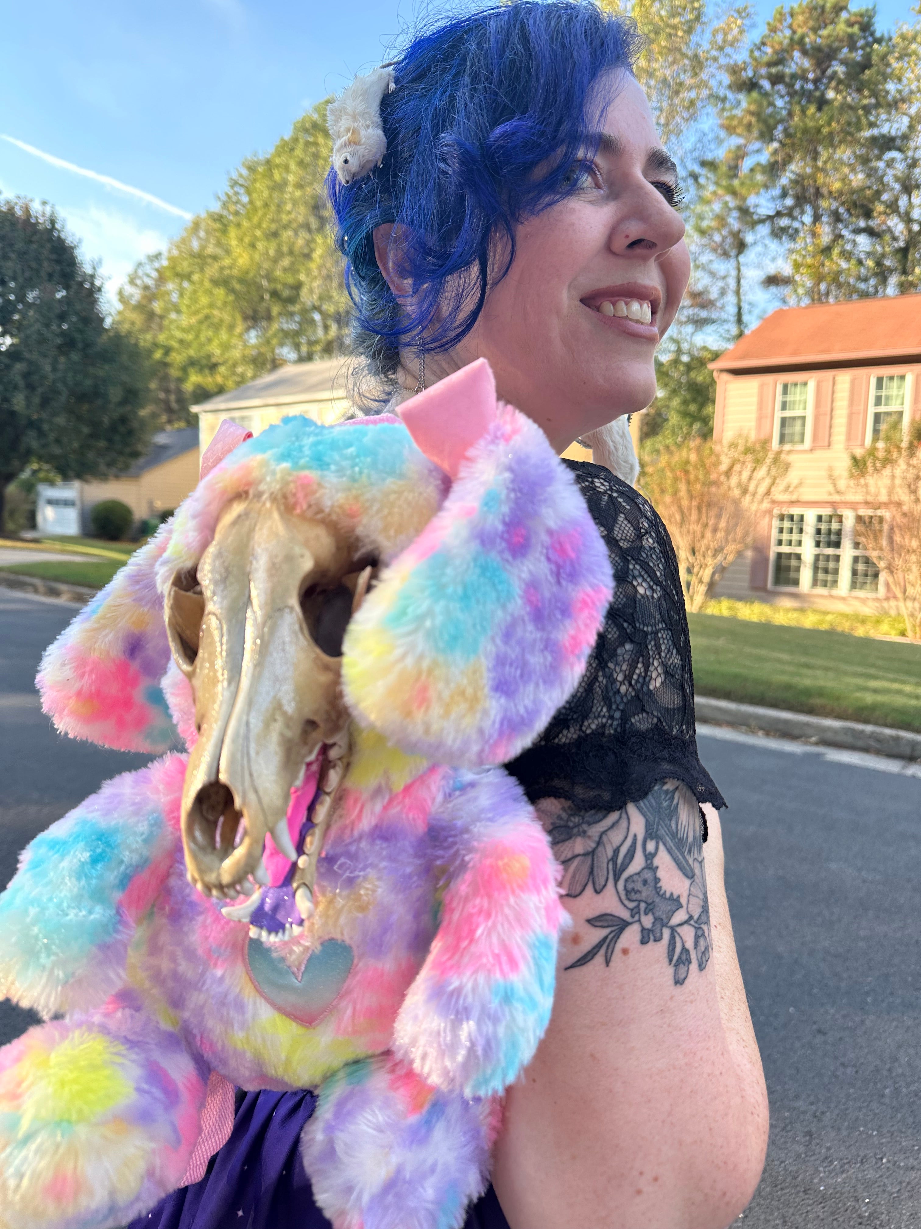 Perfection & Oddities