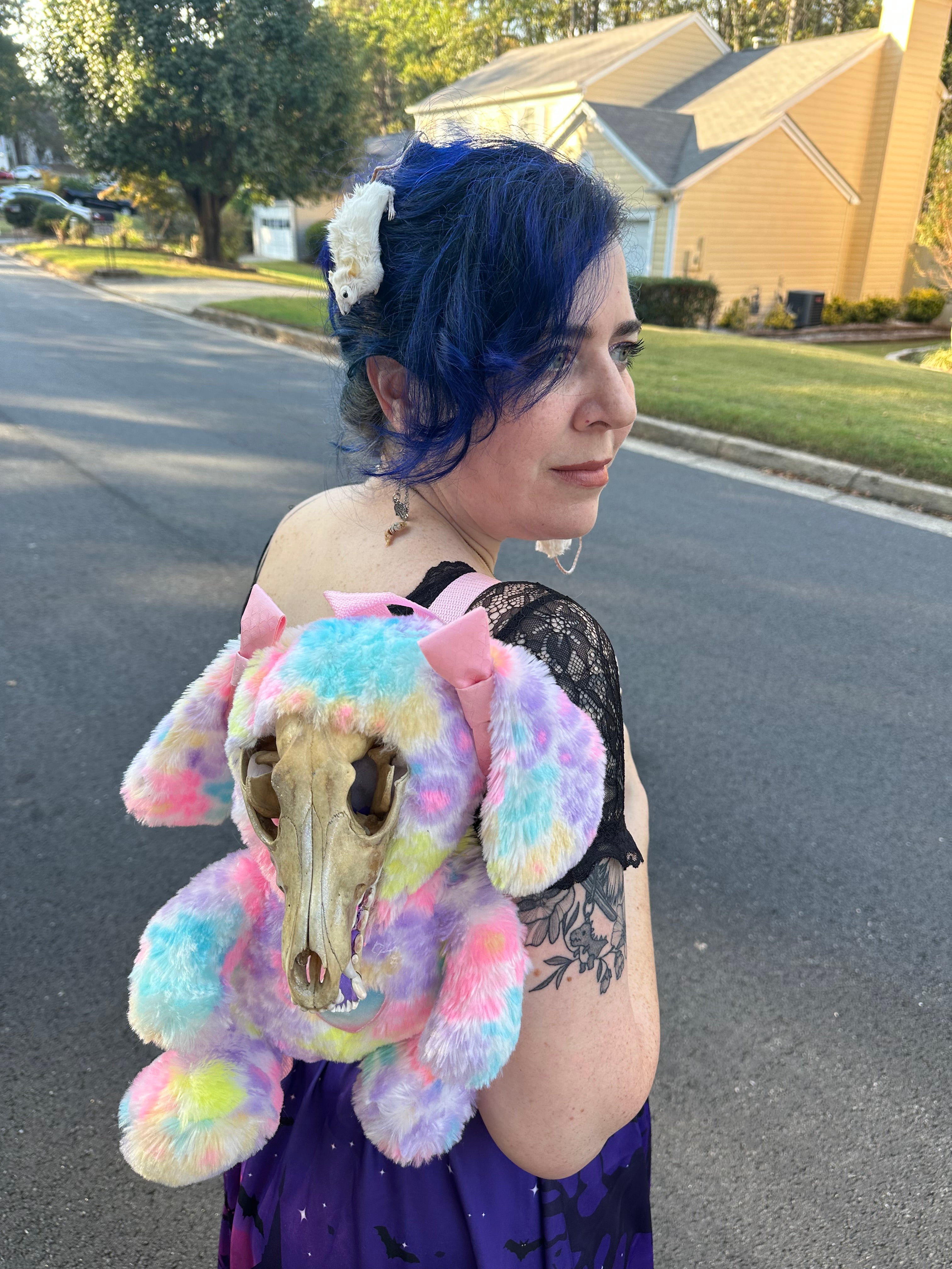 Perfection & Oddities